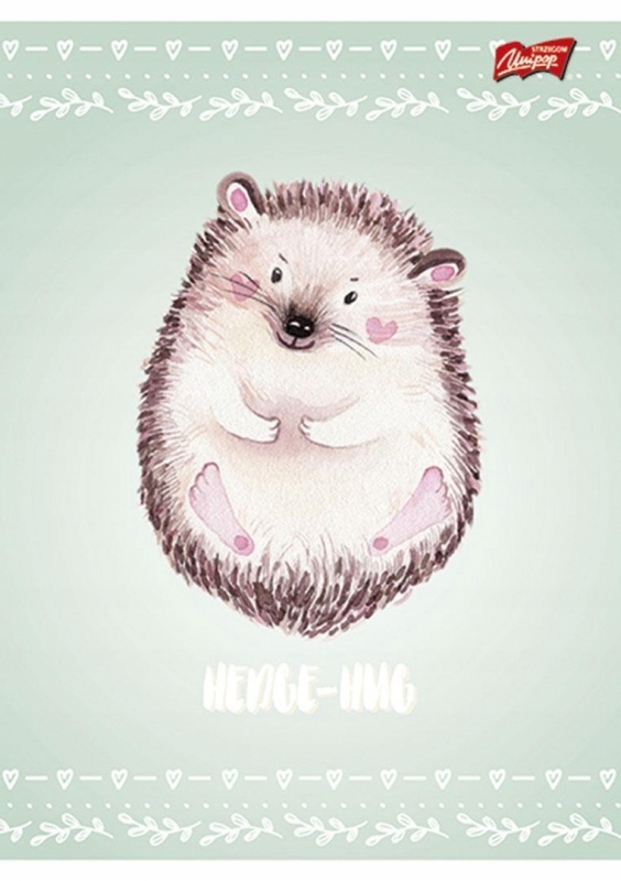 zezyt a5 16k 3linia dwukol